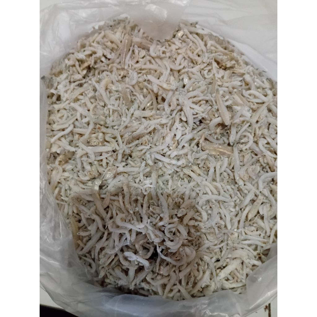 

Ikan teri nasi/ teri kecil asin 5ribuan gocengan