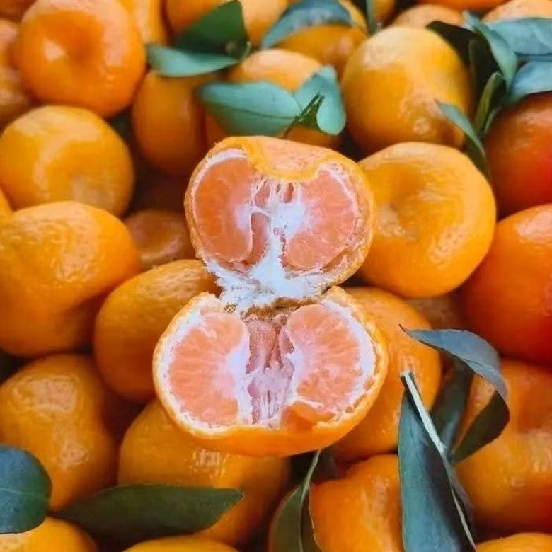 

JERUK SANTANG DAUN MANIS 1kg