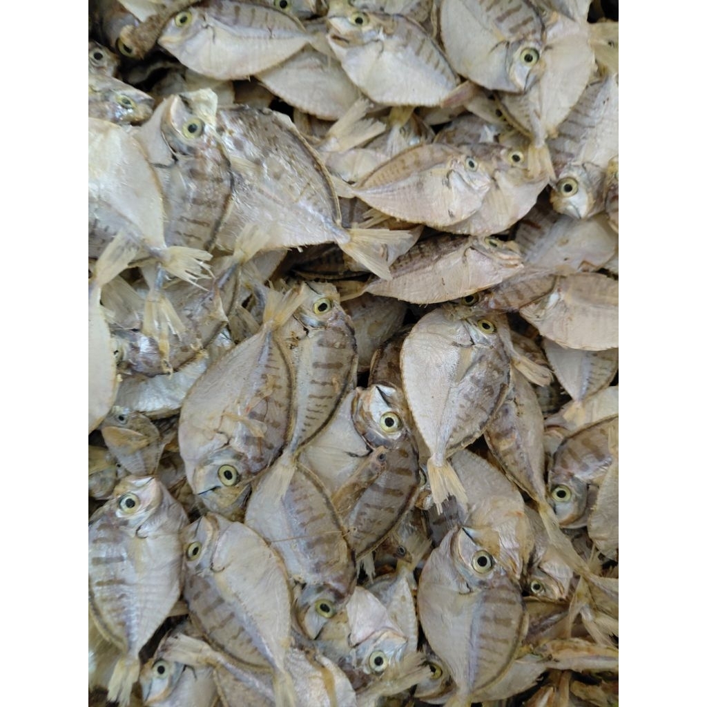 

1KG Pirik Tawar Retem Ukuran Besar Campur Kering Termurah