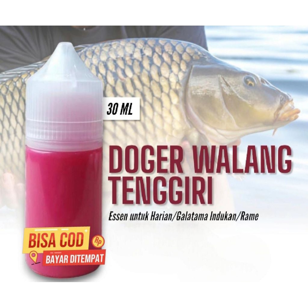 ESSEN  OPLOSAN IKAN MAS AROMA DOGER WALANG TENGGIRI
