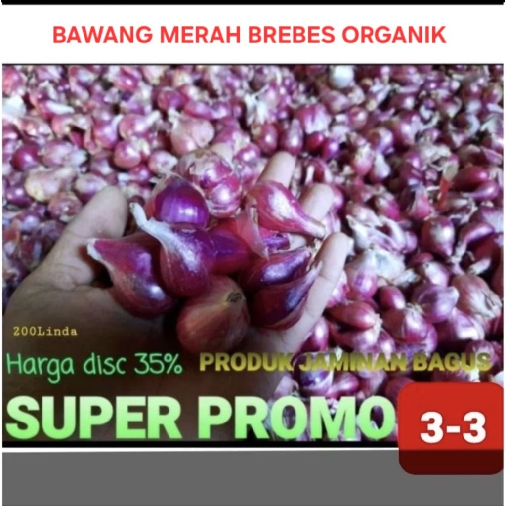

BAWANG MERAH BREBES 1KG BUMBU DAPUR BAWANG MERAH BREBES 1KG BRAMBANG TERJANGKAU PROMO 9-9#ORGANIK