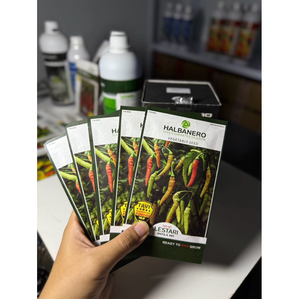 Lestari Antila MH Halbanero