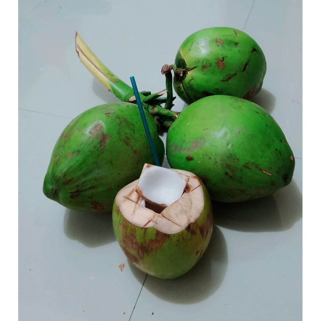 

kelapa degan