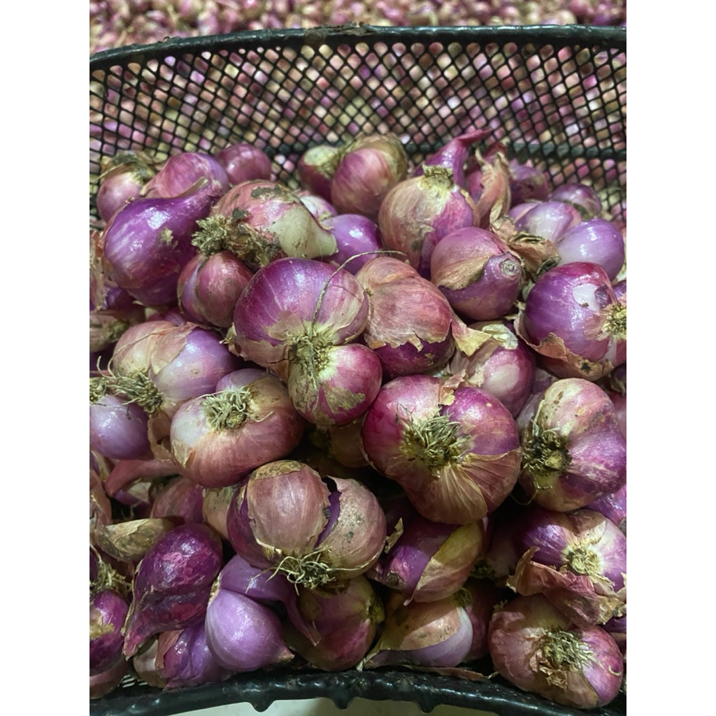 

BAWANG MERAH SUPER NGANJUK JAWATIMUR