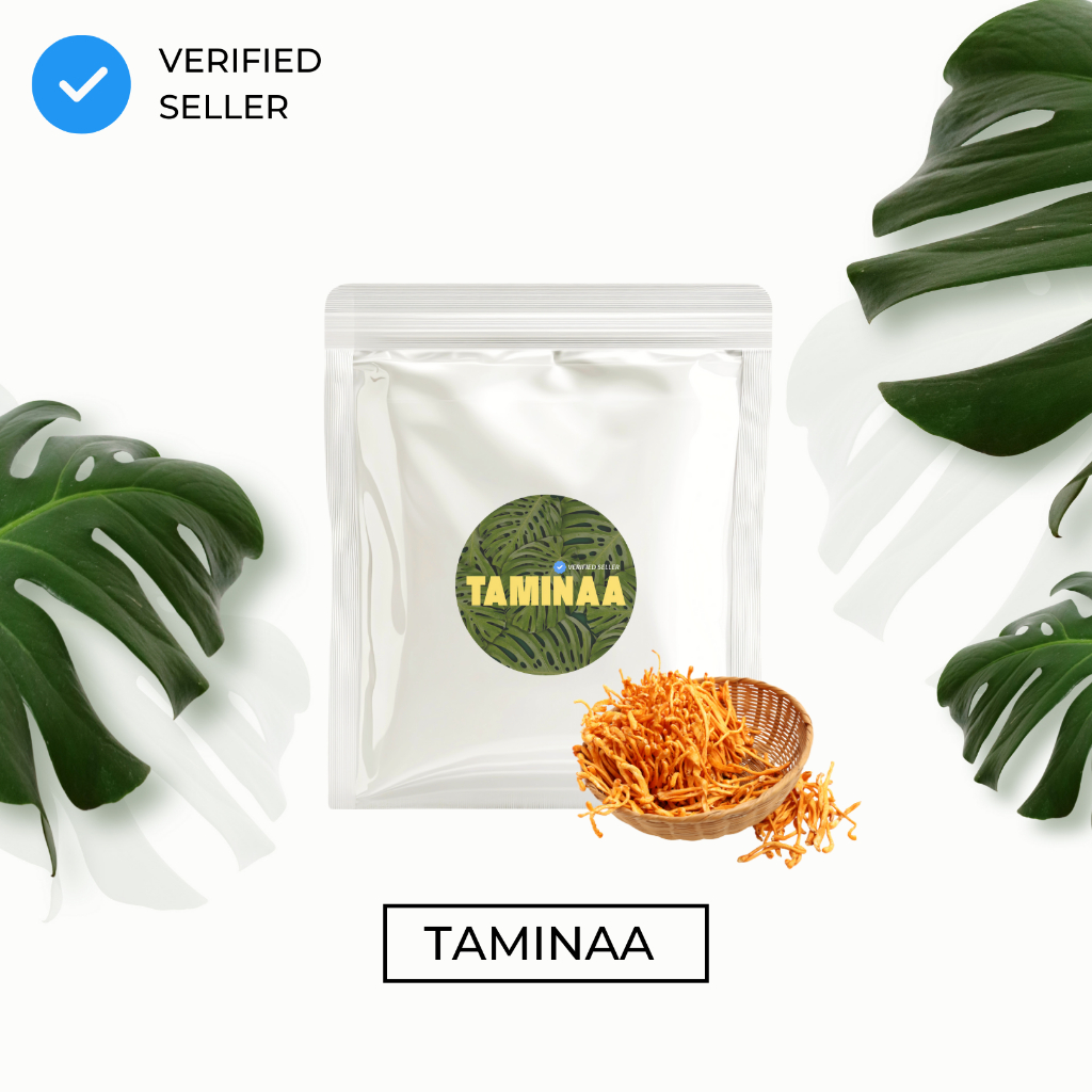 

Cordyceps Powder Bubuk Jamur Cordyceps Sinensis Dong Chong Xia Cao 10gr