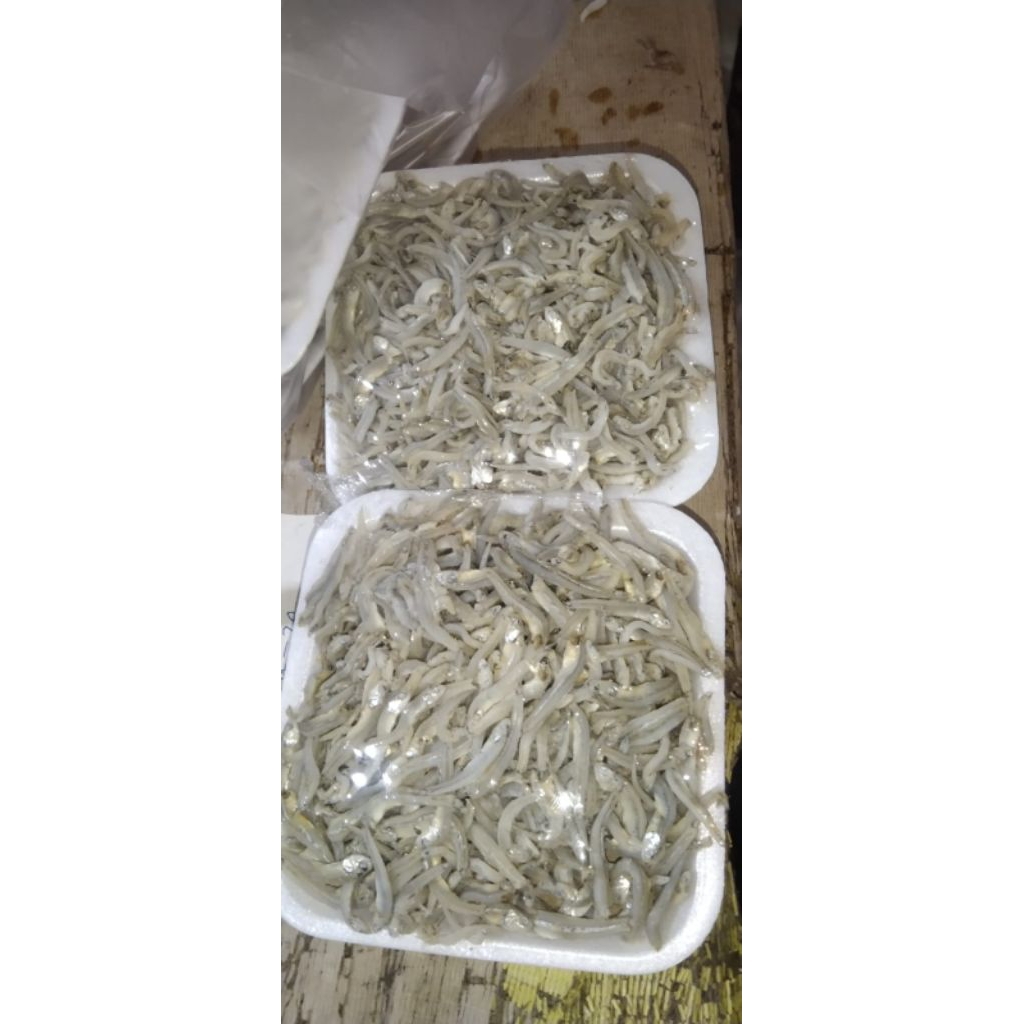 

ikan asin teri lampung/buntio