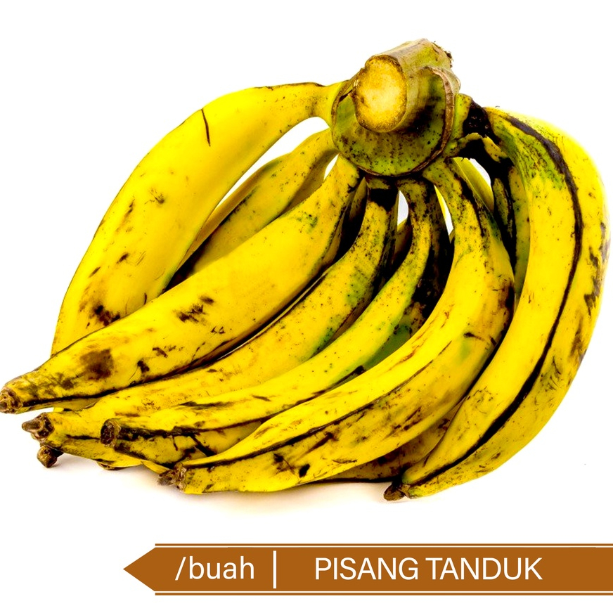 

Pisang Tanduk Organik Per Buah