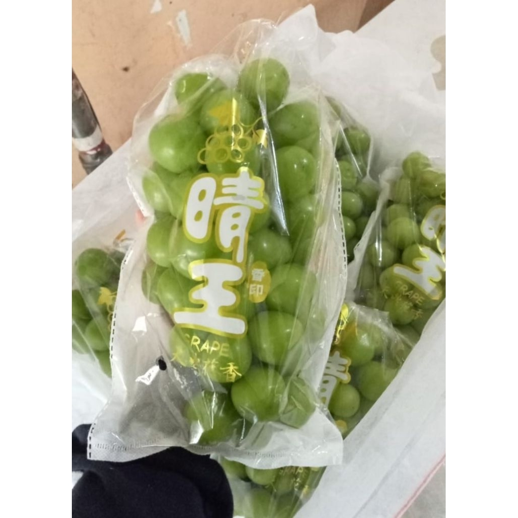 

ANGGUR GREEN MUSCAT POUCH BUCKET 1 KG