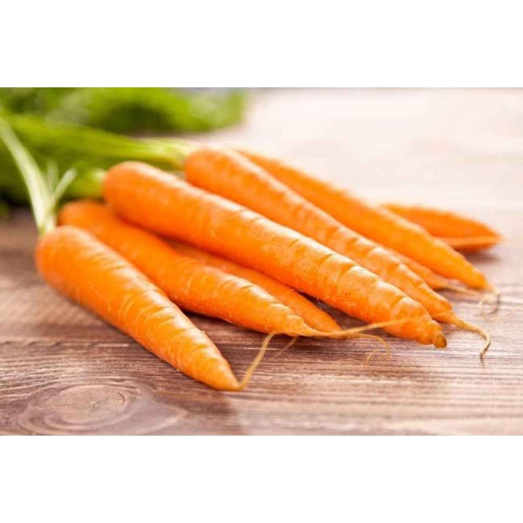 

WORTEL BRASTAGI /1kg