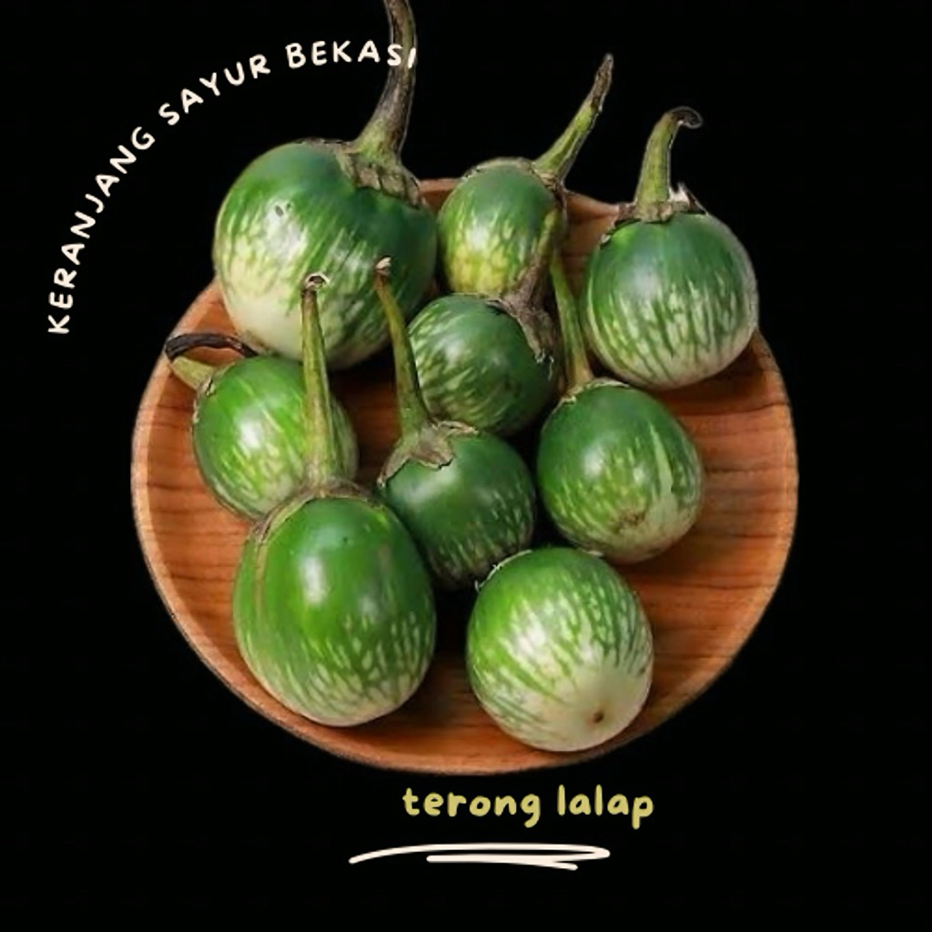 

terong lalap hijau
