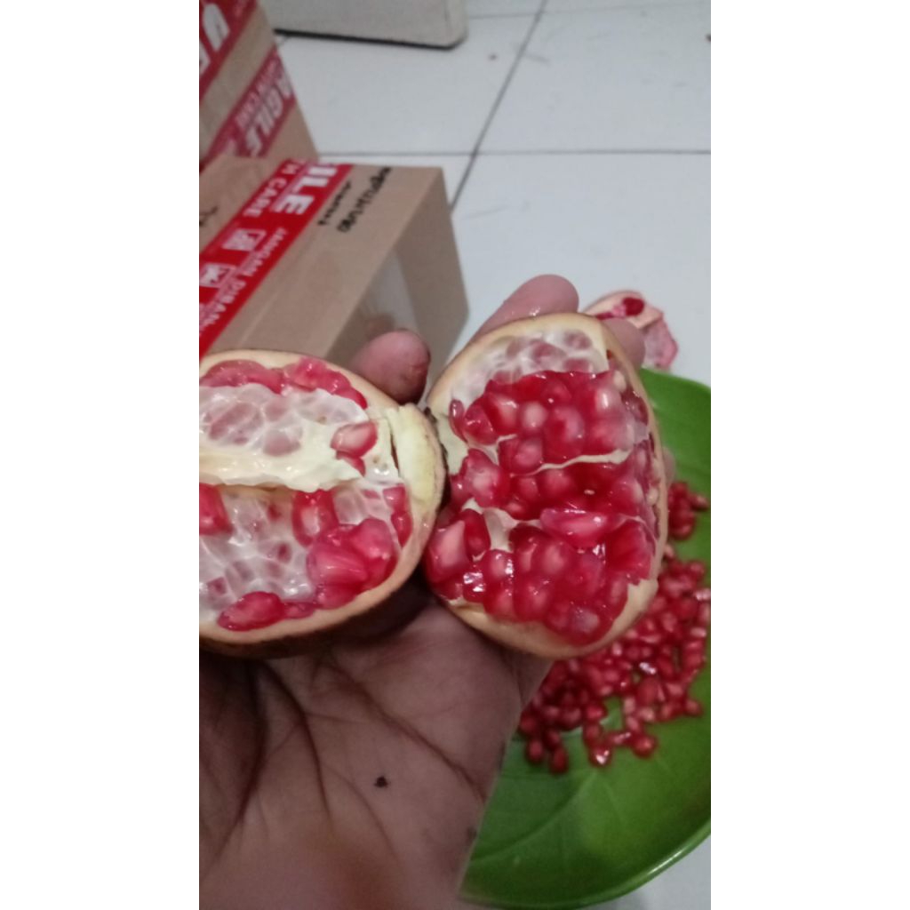 

BUAH DELIMA MERAH MANIS PROMO