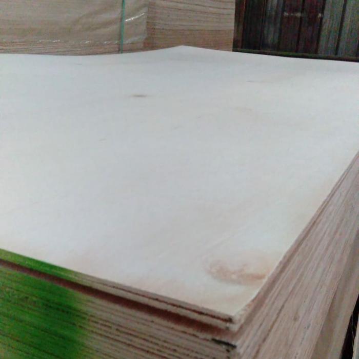 Multi 12 mm Palem / Multiplek Albasia 12mm / Triplek 12 ml