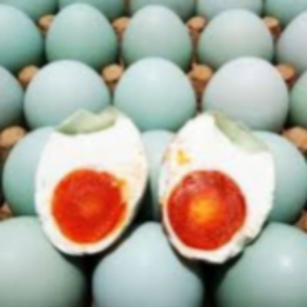 

telor asin
