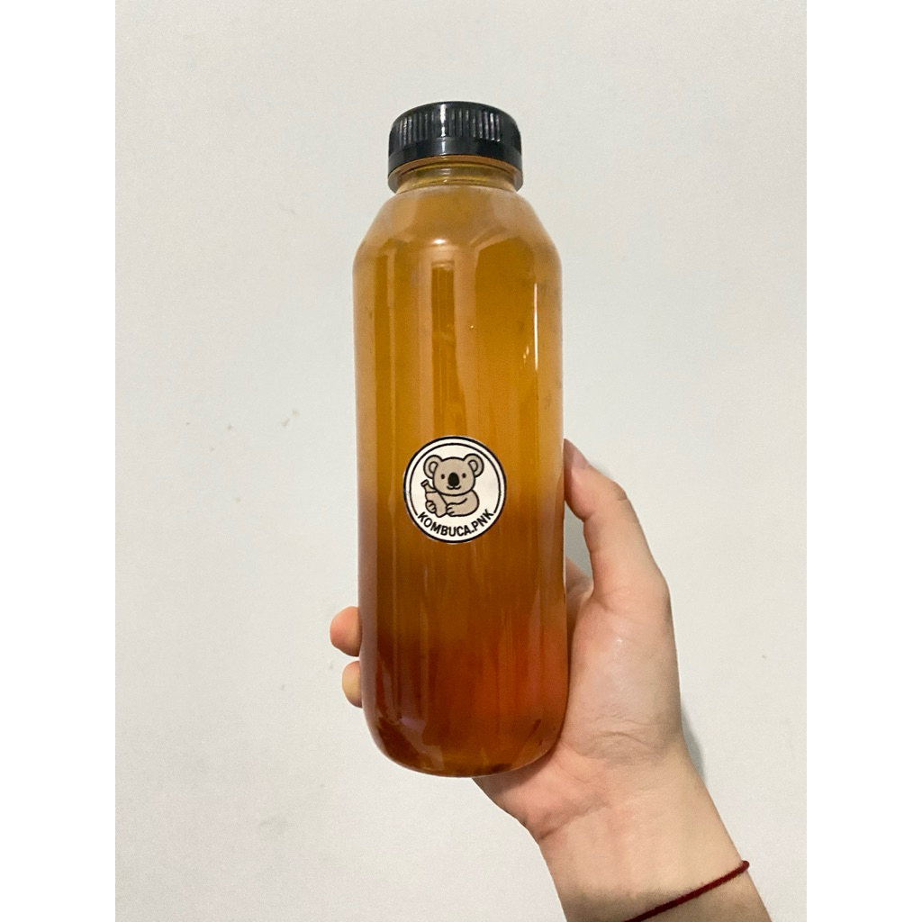 

Kombuca minuman probiotik