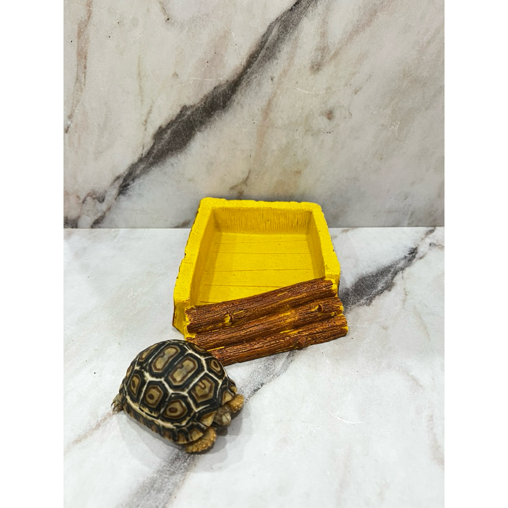 Feeding DIsh | Water Dish Torto Reptil Nomoy NS-31 WD 12x8x3,4cm Aldabra Sulcata Pardalis