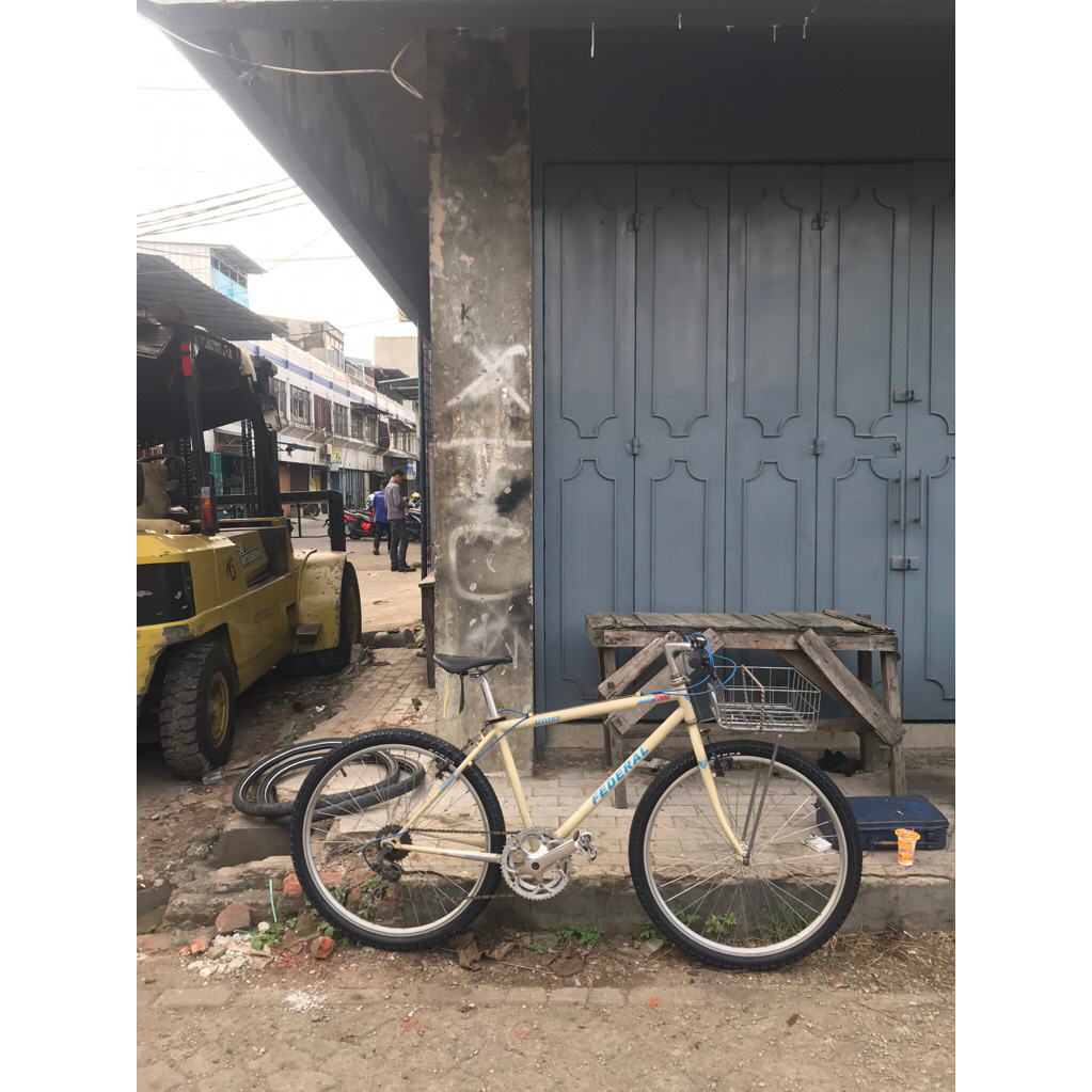 FEDERAL TORINO TERRAIN “city cat” SN