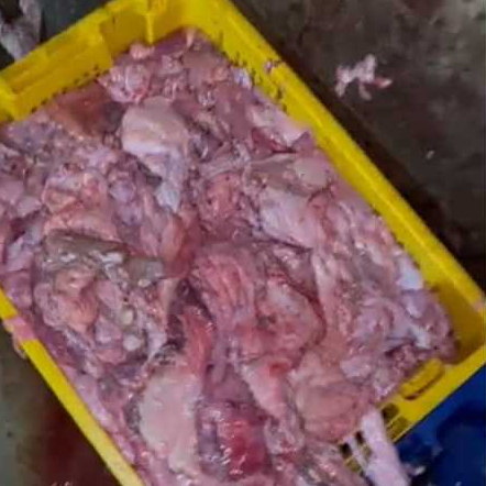 

Kerewed Sapi / Tetelan Sapi / Kerewed Tetelan Sapi