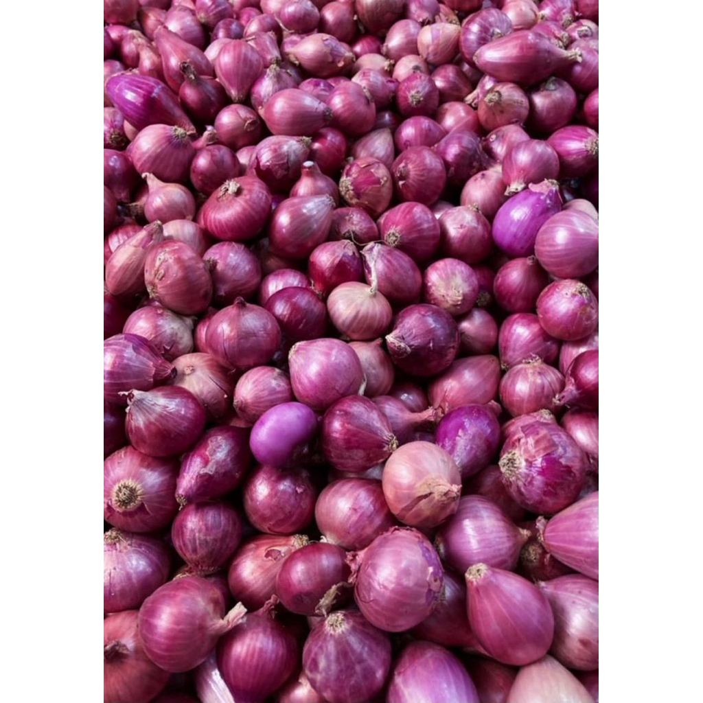 

Bawang merah super asli bali