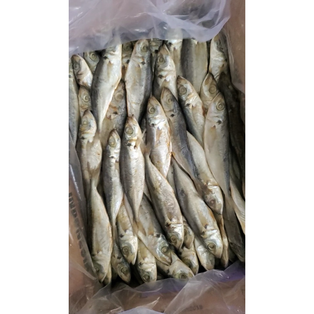 

ikan asin peda 1kg besar