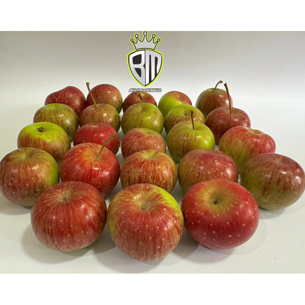 

Apel Rome Beauty Malang Mini ukuran 24-30 buah