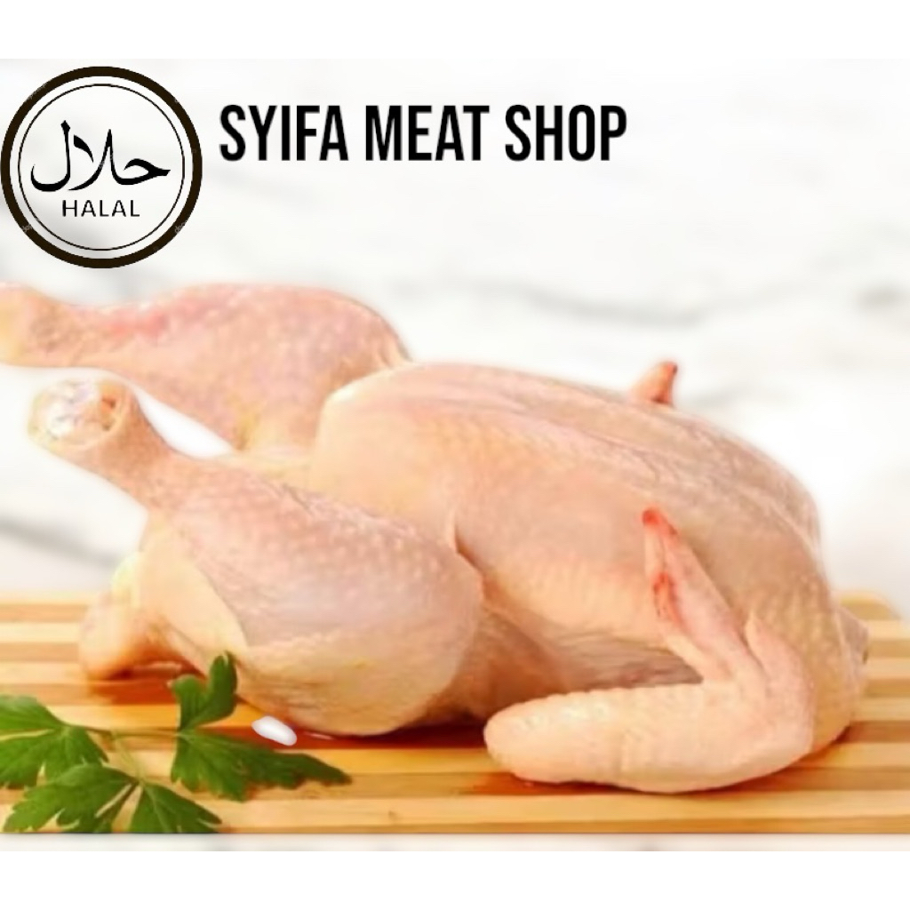

Ayam karkas Negri Boiler ukuran 0.8 0.9 1kg
