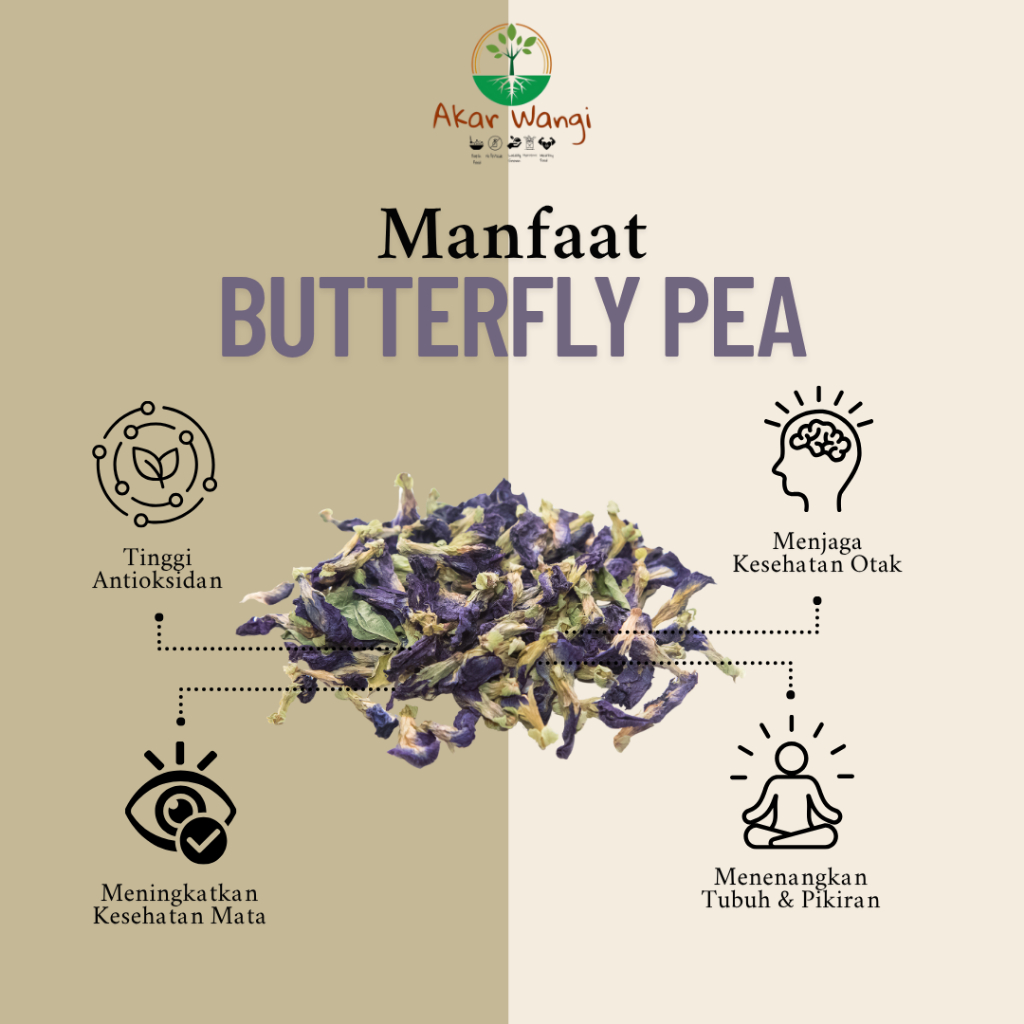 

Butterfly Pea Glass Tube Tea | Akar Wangi Artisan Tisane Herbal Flower Tea | Teh Seduh Bunga Telang