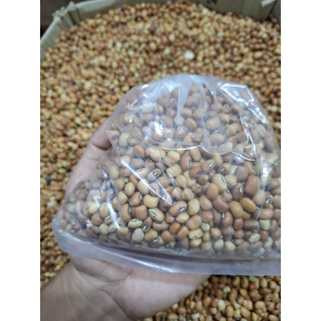 

kacang tunggak/polo 250gram