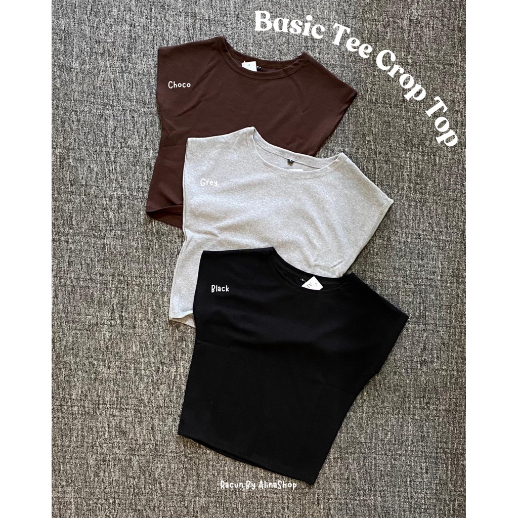 Basic Tee Crop Top