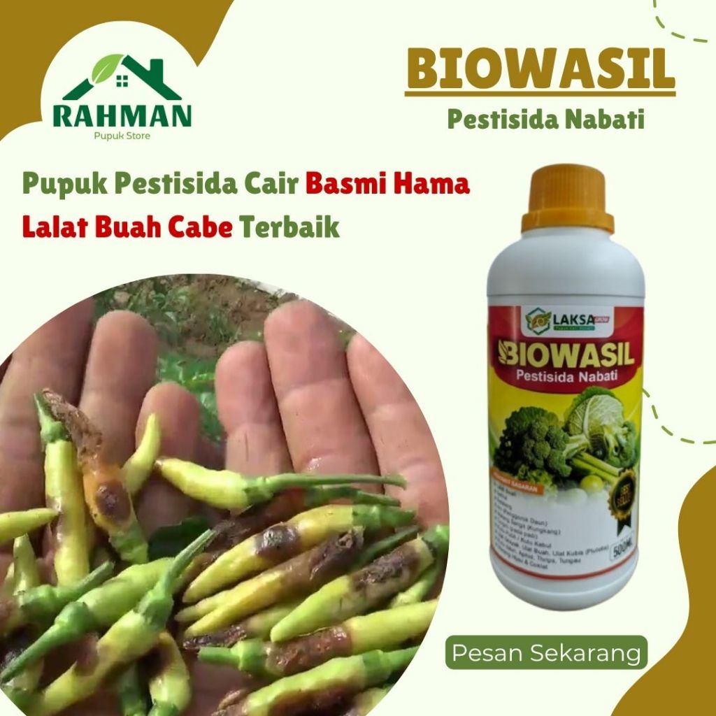 Obat Lalat Buah Cabe Ampuh Pestisida Organik & Pupuk Anti Busuk Buah - BIOWASIL 500ML - Obat Pengusi
