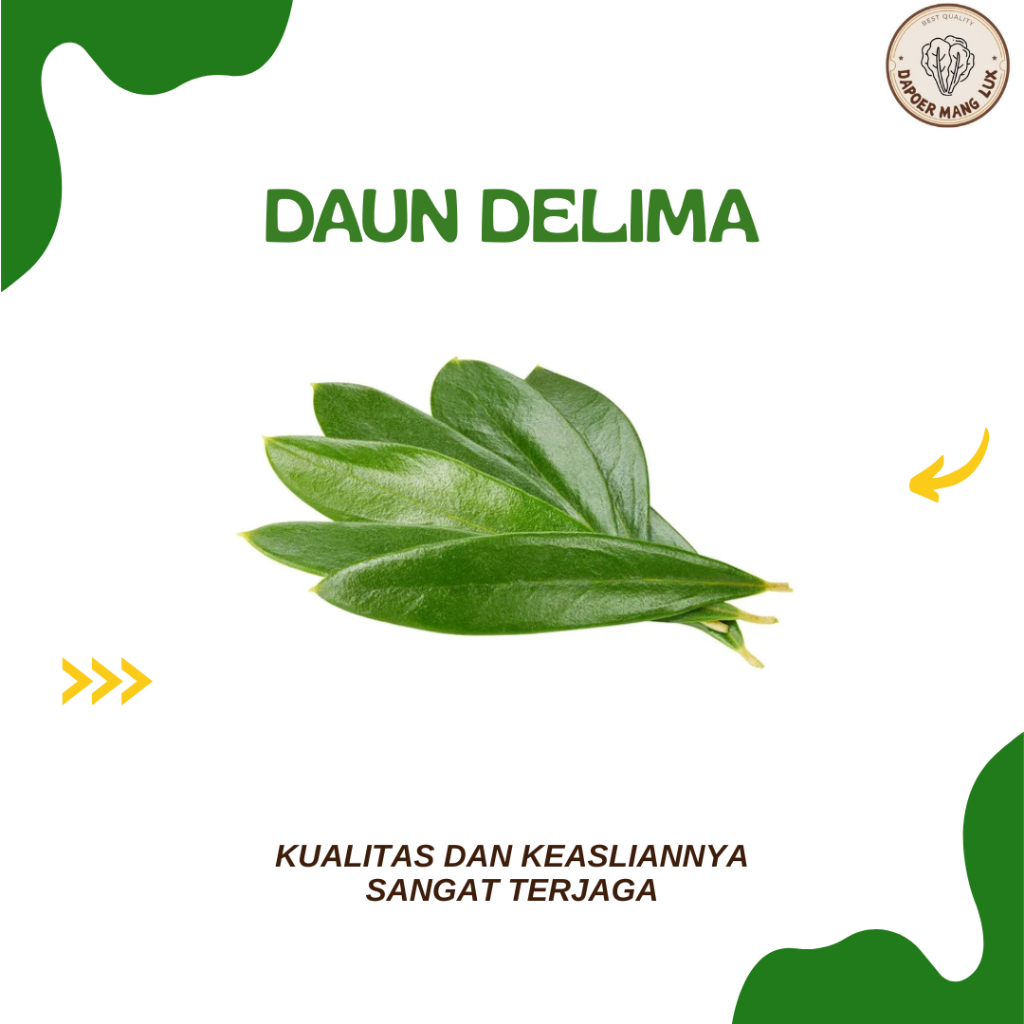 

BERBAGAI JENIS DAUN-DAUNAN OBAT HERBAL BEST