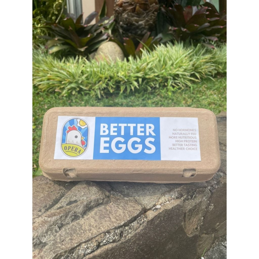 

Telur Ayam Negri Organik 10butir