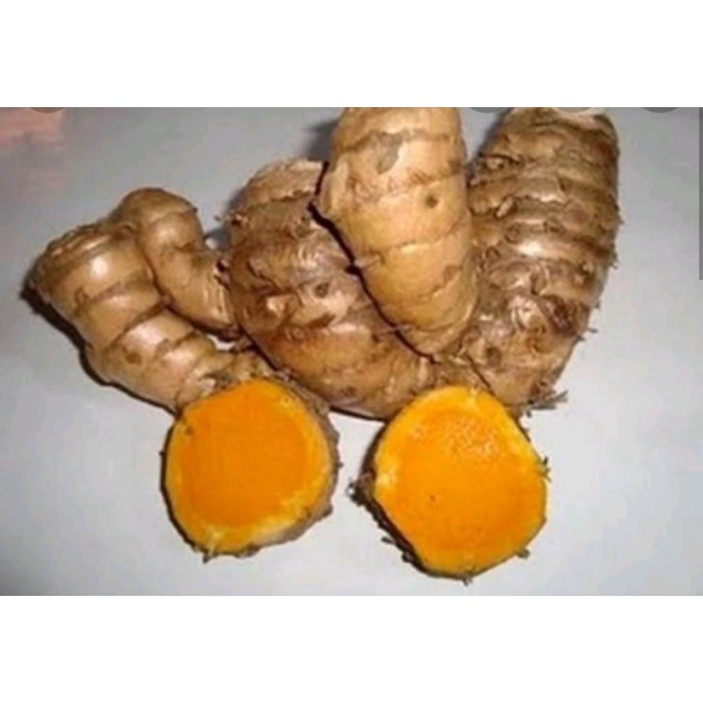 

kuning tembulawak/1kg