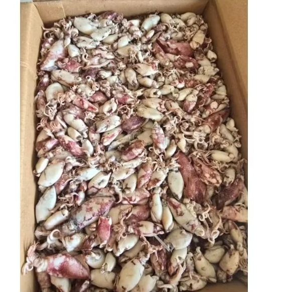 

Cumi Asin 500gr