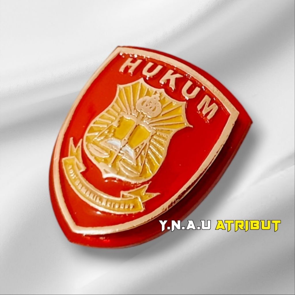 PIN HUKUM POLRI / PIN DIVISI HUKUM POLRI