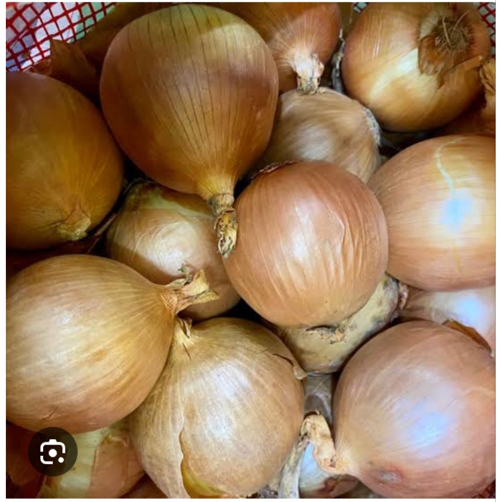 

BAWANG BOMBAY
