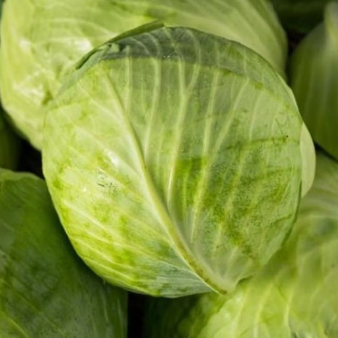 

sayur kol segar ± 1 kg