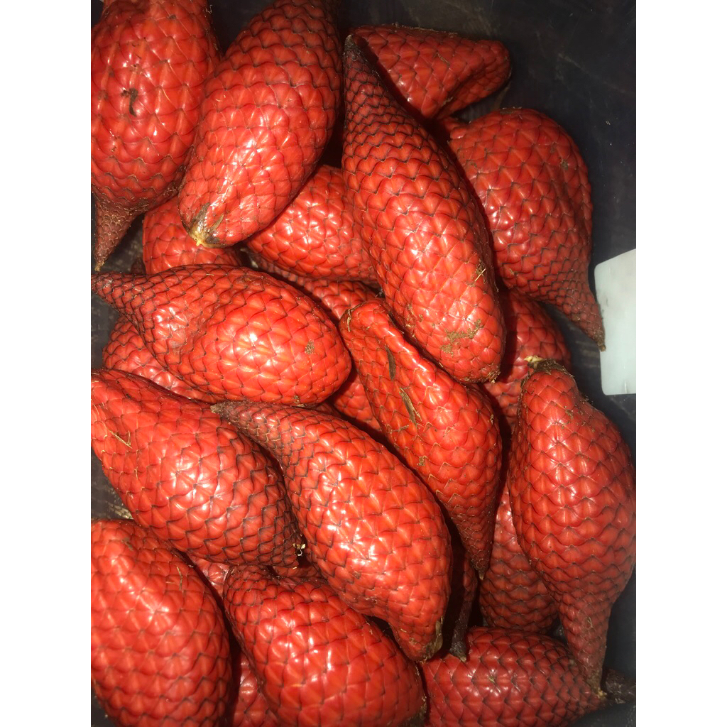 

Buah khas Kalimantan Mayong Rasa Kecut Cocok Buat Rujak