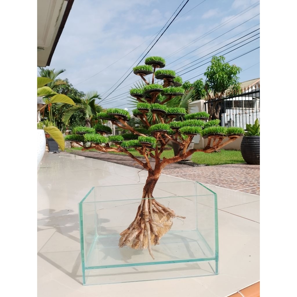 Bonsai Sintetis Aquascape