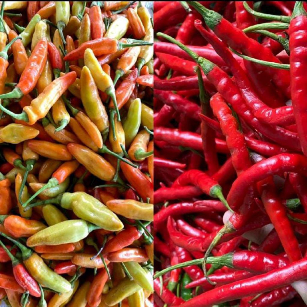 

cabe campur cmk dan rawit 1kg segar harga murah