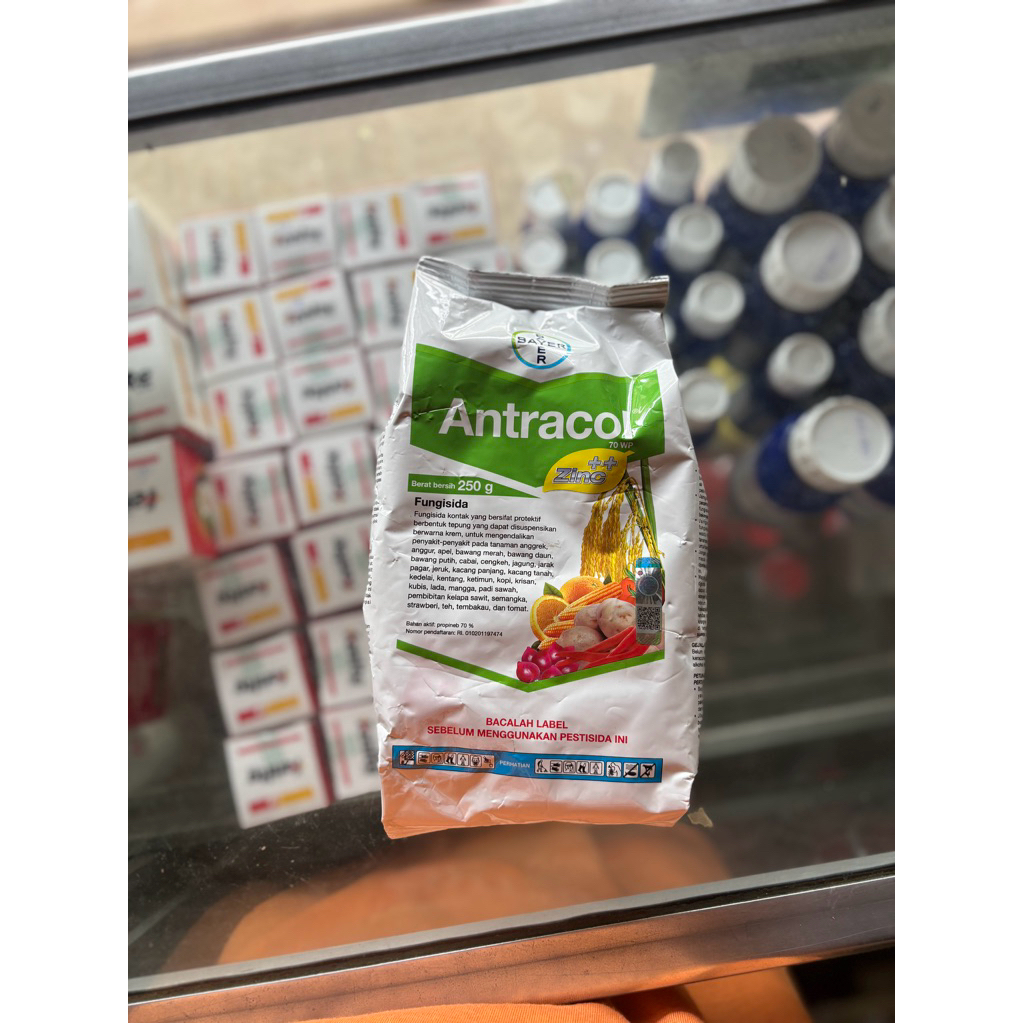 fungisida ANTRACOL 250gr