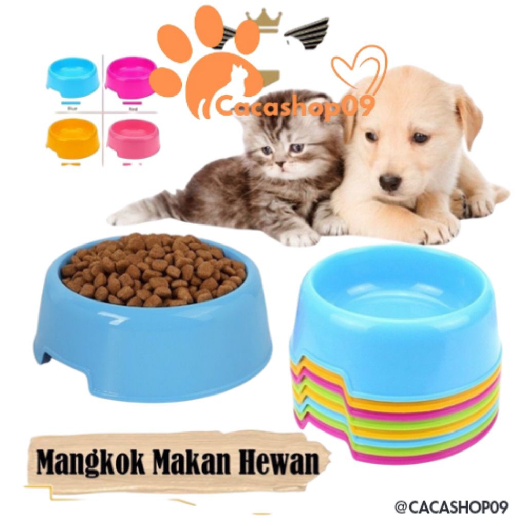 Mangkok Makanan kucing Mini - Tempat Makan Kucing Mini Lucu