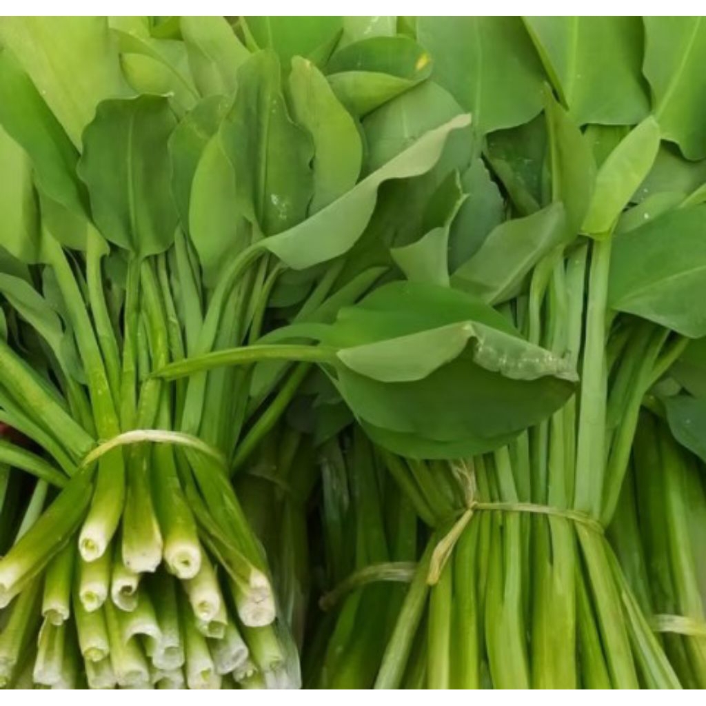 

Daun Genjer 1 ikat berat 200 gram