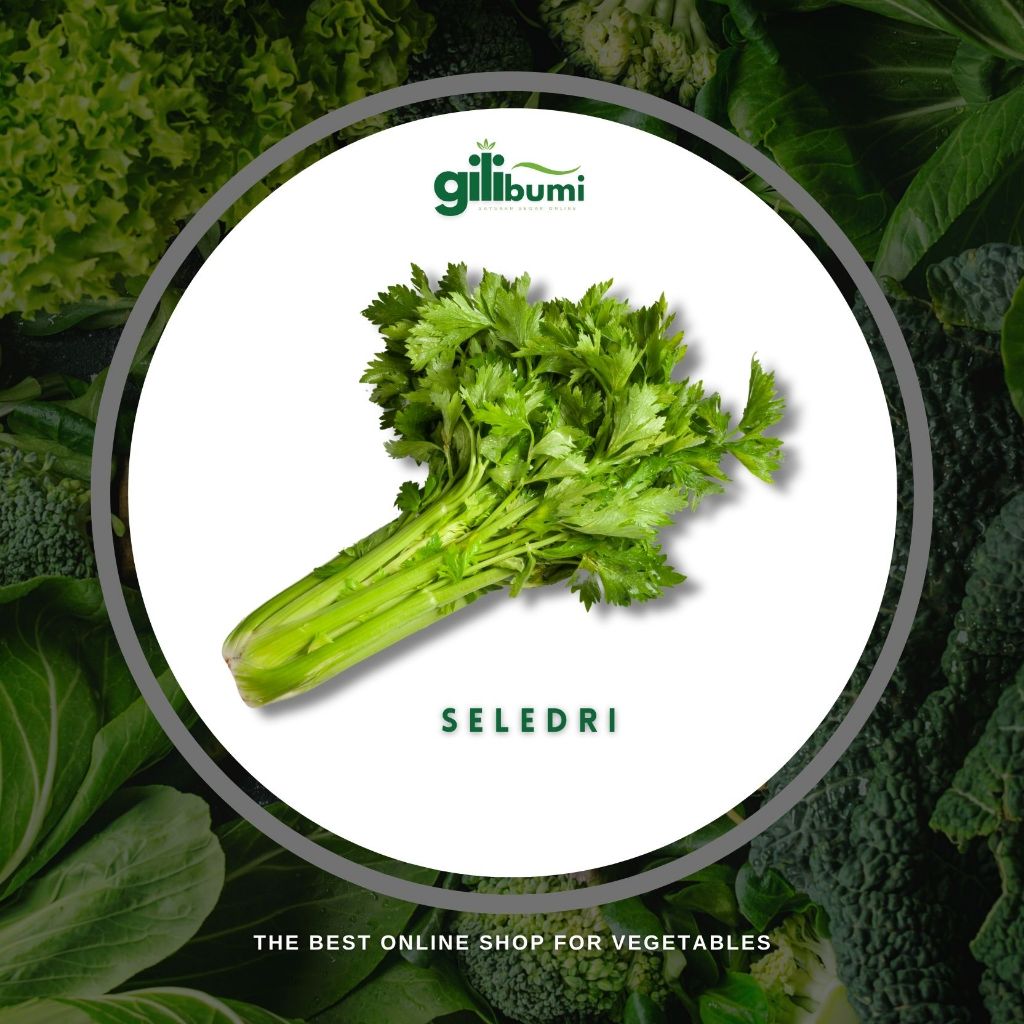 

Seledri 1 Ikat (50gr)