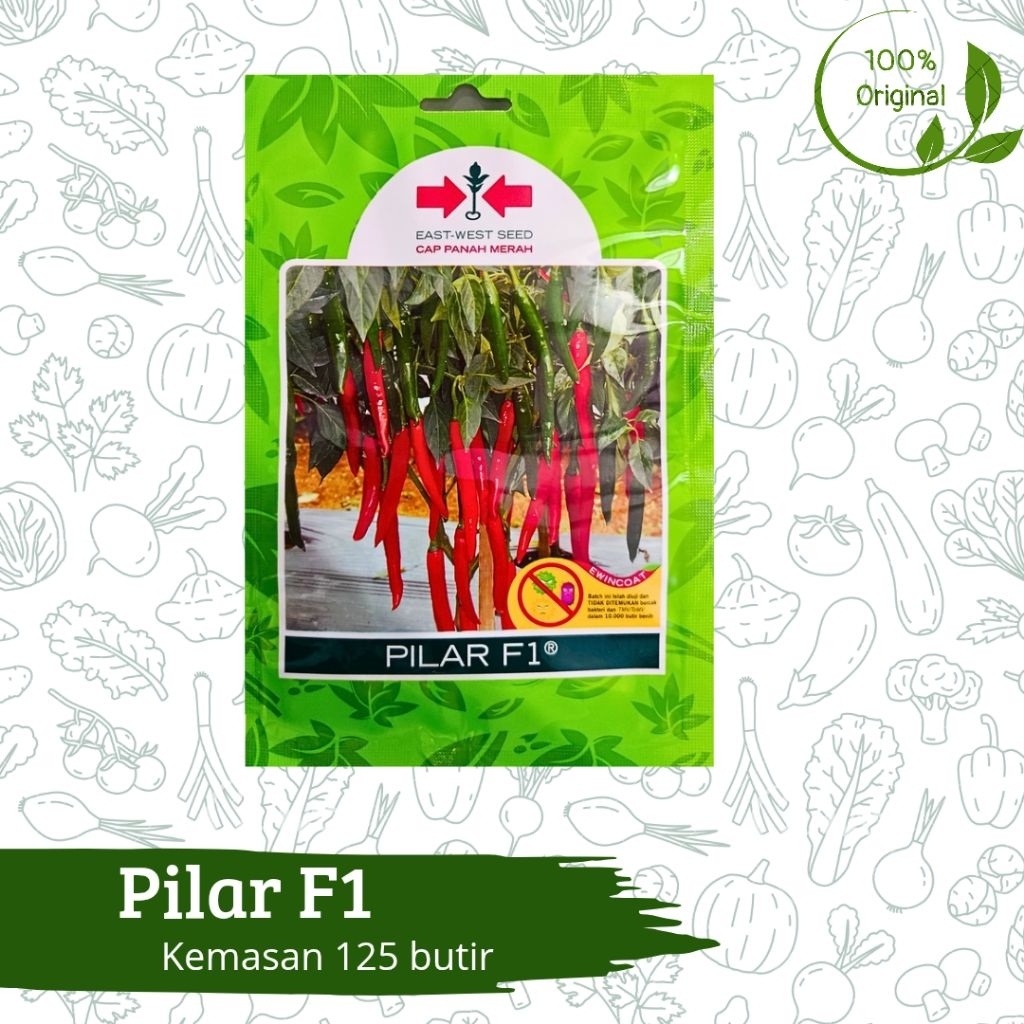 Benih Bibit Cabe Cabai Lombok Besar Pilar F1 125 butir Cap Panah Merah