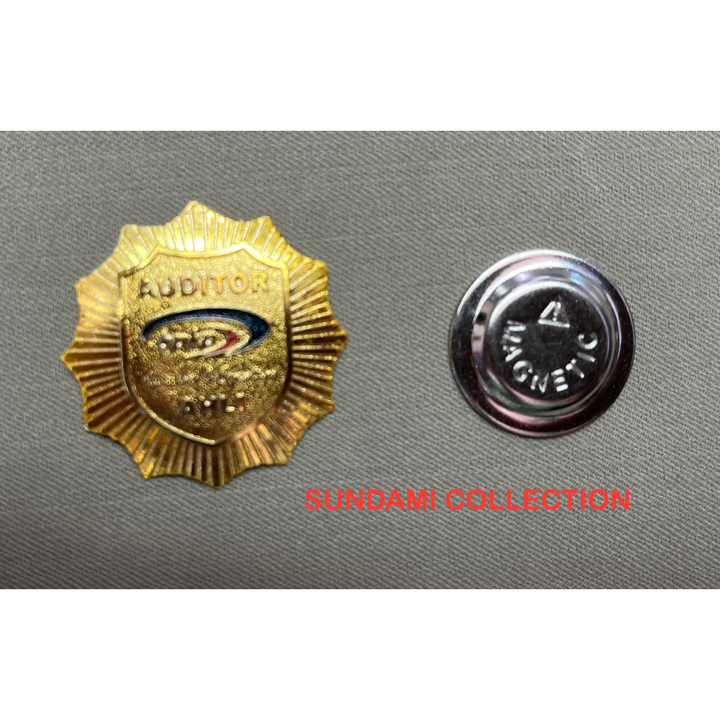 PIN AUDITOR BPKP