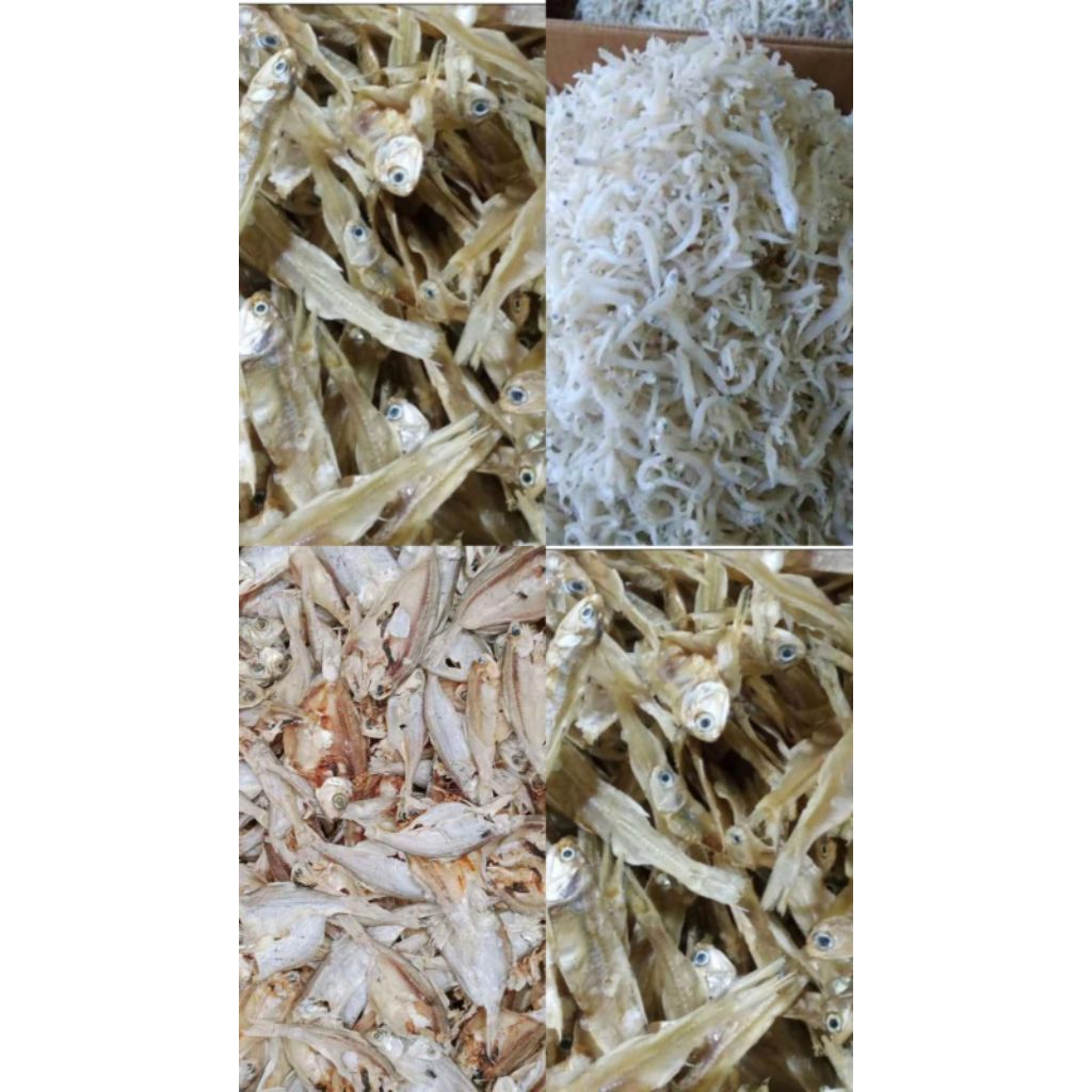 

ikan kering asin dan tawar