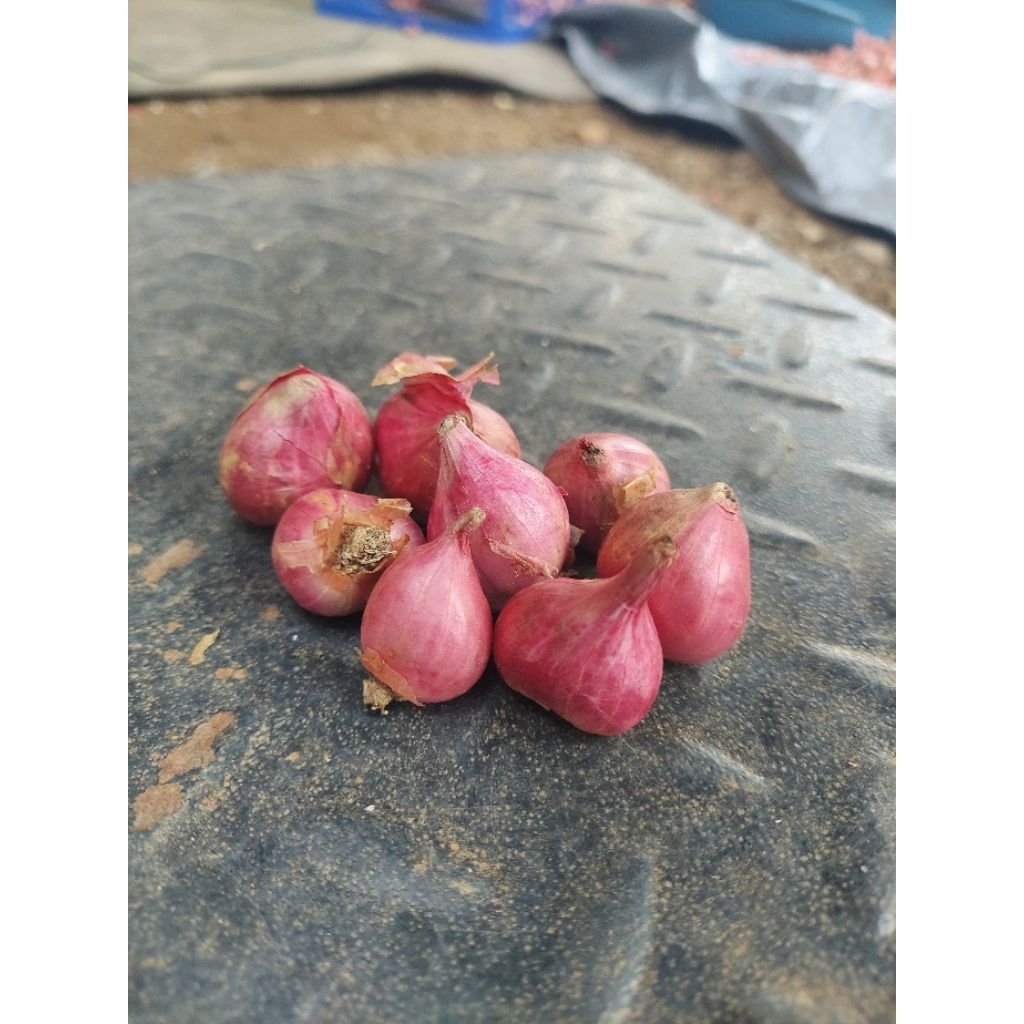 

Bawang Merah 250gram, Segar Murah Berkualitas, Ukuran campuran. Brambang ¼kg