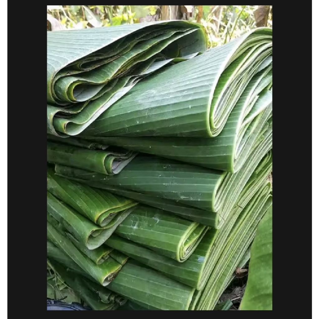 

Daun Pisang Batu Asli