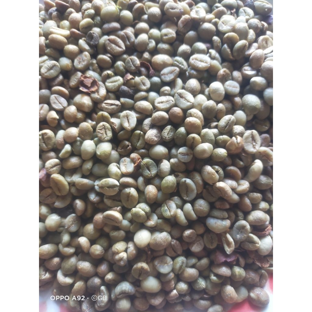 

kopi robusta wose berasan green Bean mentah bubuk Lampung 1 kilo