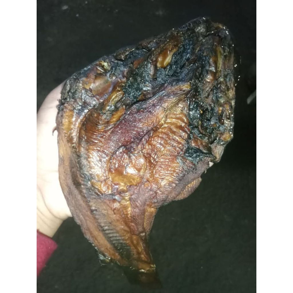 

ikan tape asap lampung sedap